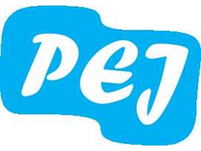 Logo PCB Express Jogja